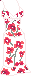5-16_prep_dress_001.gif (603 bytes)