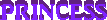 5-16_propprincess_Accessory.gif (414 bytes)