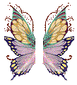 5-25_wings_Image275.gif (5289 bytes)
