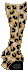 pants.gif (493 bytes)
